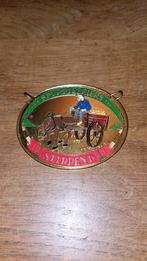 Carnaval insigne Spurriezeiers 1985, Ophalen of Verzenden