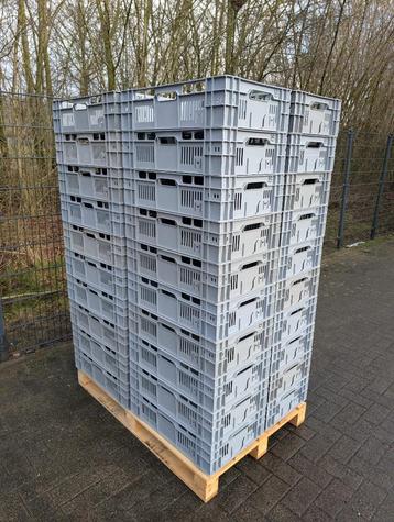 Bekuplast kratten, 60x40x16 cm, geperforeerd. Palletactie beschikbaar voor biedingen