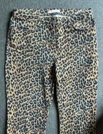 Studio Anneloes Elvira leopard denim trousers - maat xs, Studio Anneloes, Blauw, Ophalen of Verzenden, Zo goed als nieuw