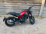 Benelli Leoncino 500 bouwjaar 2020, Particulier, Naked bike