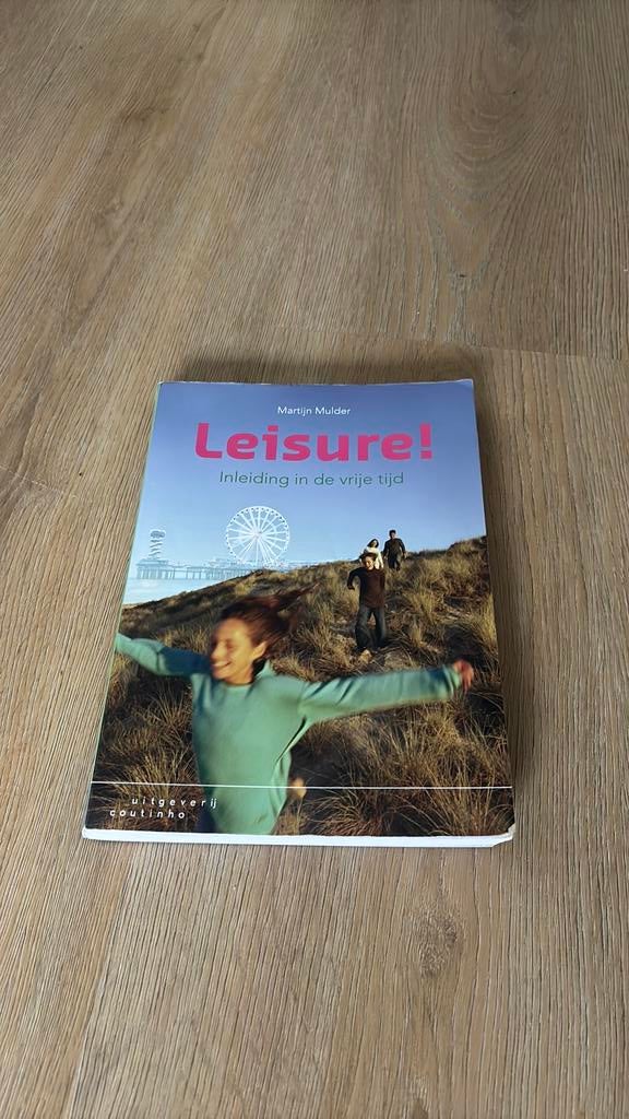Martijn Mulder - Leisure!, Sociale wetenschap, Ophalen of Verzenden, Zo goed als nieuw, Martijn Mulder