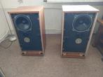 B&w dm2 luidsprekers uit 1973, Audio, Tv en Foto, Luidsprekers, Ophalen, Gebruikt, 60 tot 120 watt, Bowers & Wilkins (B&W)