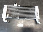 RS400i Metropolis 2013 - 2016 Peugeot Radiator D1-61067