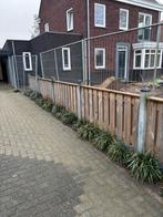 Houten Tuinhek 5 x 180 cm schotten en 6 betonpalen, Ophalen, 3 tot 6 meter, Hout, 1 tot 2 meter
