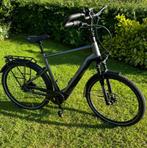 Pegasus premio evo 5 comfort, Zo goed als nieuw, 59 cm of meer, 50 km per accu of meer, Ophalen