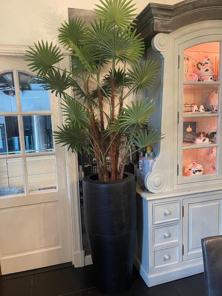 NIEUWE HOGE KUNST PALMBOOM KUNSTBOOM ESDOORN, Huis en Inrichting, Woonaccessoires | Kunstplanten en Kunstbloemen, Nieuw, Binnen