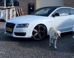 Audi Grill - Origineel!, Ophalen, Gebruikt, Voor, Audi