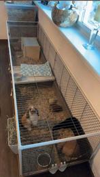 Zeer groot luxe konijnenhok zgan, 110 cm of meer, Ophalen of Verzenden, Zo goed als nieuw, 90 cm of meer