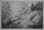 Toon Pluijmers ets en droge naald "Duinlandschap", 1941, Antiek en Kunst, Ophalen