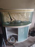 Aquarium te koop of te ruilen tegen groter aquarium,, Dieren en Toebehoren, Ophalen, Gebruikt, Leeg aquarium