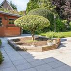 Bruine betonblokken /stapelblokken plantenbakken, Ophalen, Zo goed als nieuw, 60 tot 100 cm, Tuin