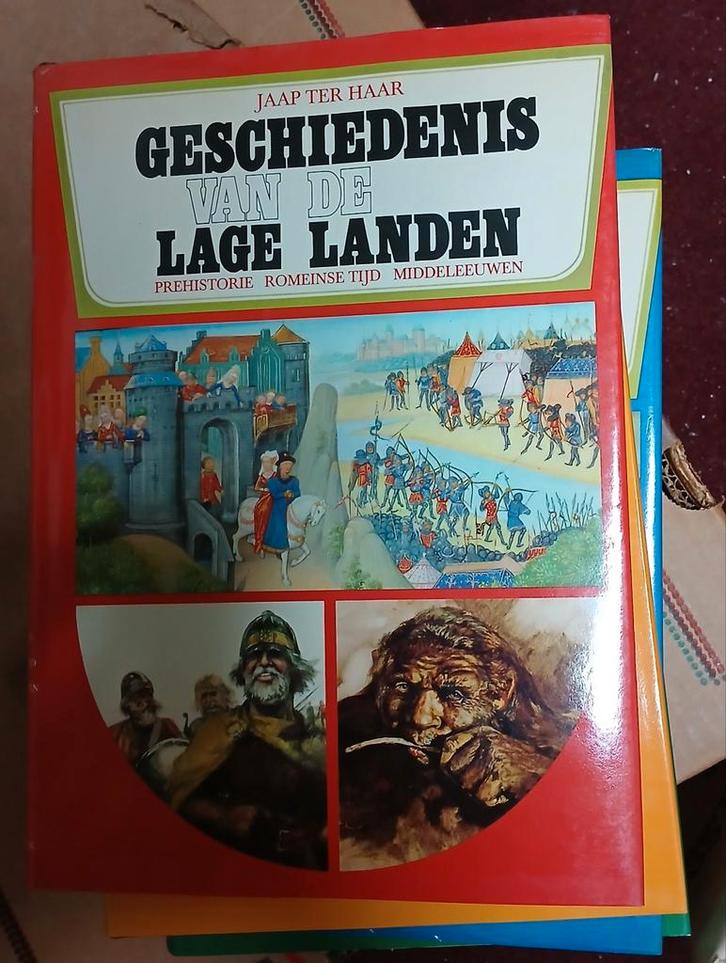 Geschiedenis van de lage landen - Jaap ter Haar, Boeken, Geschiedenis | Vaderland, Ophalen of Verzenden