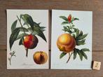 ** FRUIT 2 meerdere sets beschikbaar, Ophalen, 1980 tot heden, Overige thema's