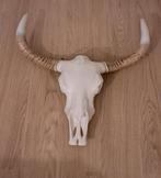 Schedel Longhorn/Buffel/Stier - Decoratief, Huis en Inrichting, Ophalen of Verzenden, Gebruikt