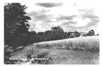 990559 Heelsum 1958 Gld Doorwerth De Zonneberg Gelopen met
