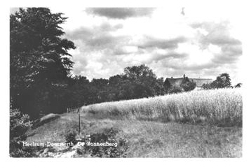 990559 Heelsum 1958 Gld Doorwerth De Zonneberg Gelopen met beschikbaar voor biedingen