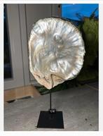 Parelmoer Schelp op Voet - Decoratief - woondecoratie, Ophalen of Verzenden