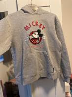 Hoodie sweater. Jongens. Disneyland paris, Ophalen of Verzenden