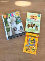 Leuk pakketje met paarden boeken, Ophalen of Verzenden, Gelezen, Paarden of Pony's