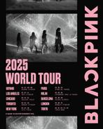 2 zitplaatsen Blackpink Parijs Paris 2 Augustus 2025, Tickets en Kaartjes, Twee personen, Augustus