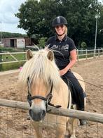 Leaser gezocht, Dieren en Toebehoren, Stalling en Weidegang, Toebehoren