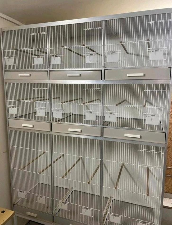 Broedkooien gehu stelling bijna nieuw, Dieren en Toebehoren, Vogels | Hokken en Kooien, Zo goed als nieuw, Broedkooi of Kweekkooi