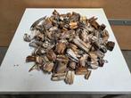 Verzameling oude kiezen, schedels en eieren, Verzamelen, Mineralen en Fossielen, Ophalen of Verzenden, Fossiel