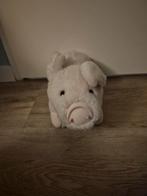 Schattig knuffelvarken, Ophalen of Verzenden, Zo goed als nieuw, Overige typen