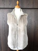 Bodywarme PESERICO, maat 38, Kleding | Dames, Bodywarmers, PESERICO, Verzenden, Gedragen, Maat 38/40 (M)