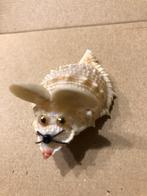 Muis gemaakt van schelp . Schelpen muis, Antiek en Kunst, Curiosa en Brocante, Ophalen