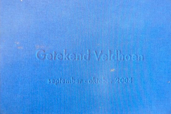 AAT VELDHOEN / Getekend Veldhoen / sept - okt 2004, Boeken, Kunst en Cultuur | Beeldend, Zo goed als nieuw, Ophalen of Verzenden