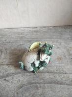 Aquarium draak, Ophalen