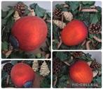 Heksen/kerstbal rood, Ophalen of Verzenden