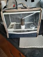 Putter kooitje compleet, Mannelijk, Wildzangvogel