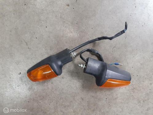 Knipperlichten 851 888 SS Superlight Supersport 600 750 900, Motoren, Onderdelen | Ducati, Gebruikt, Ophalen of Verzenden
