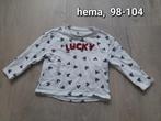 Hema trui maat 98-104 meisje, Ophalen of Verzenden, Zo goed als nieuw