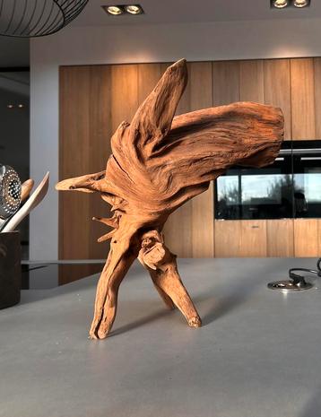 Uniek stuk Kienhout / Driftwood / Spiderwood voor aquarium beschikbaar voor biedingen