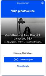 Kendrick Lamar SZA Ticket Staanplaats Ingang J, Eén persoon, Juli