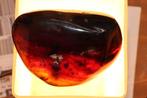 Amber ( barnsteen), Ophalen of Verzenden, Mineraal
