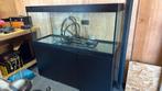 Aquarium trofis 1.50 mtr krasvrij met 2 pompen, Ophalen, Zo goed als nieuw, Leeg aquarium