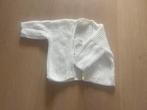 Mooi zelf gehaakt vestje, Kleding | Dames, Truien en Vesten, Ophalen of Verzenden, Zo goed als nieuw