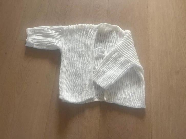 Mooi zelf gehaakt vestje, Kleding | Dames, Truien en Vesten, Zo goed als nieuw, Ophalen of Verzenden