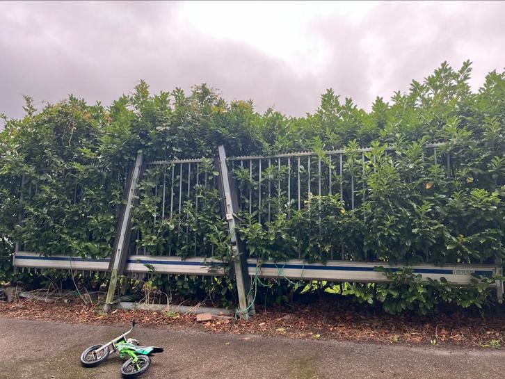 Schuifpoort elektrisch Heras 8 m breed 2 m hoog, Tuin en Terras, Tuinhekken en Hekwerk, Spijlenhekwerk, IJzer, Ophalen
