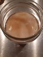 Kombucha scoby, Diversen, Levensmiddelen, Ophalen