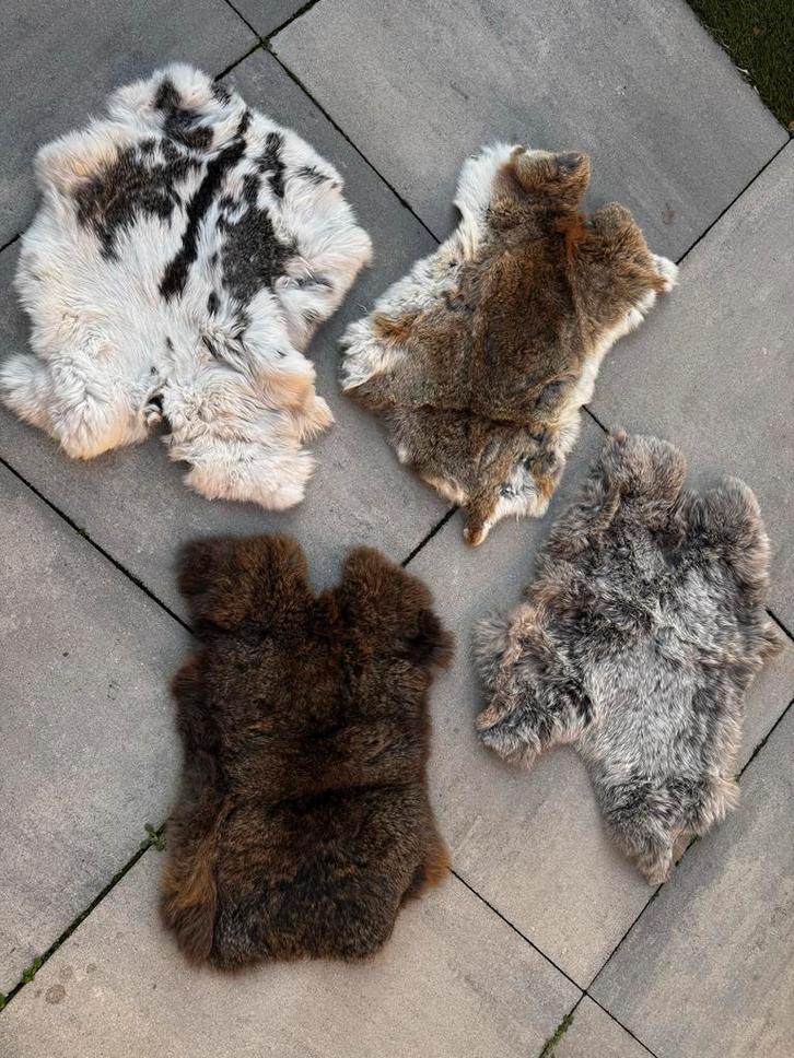 Konijnenvachtjes set 4 stuks - 60x40 cm, Huis en Inrichting, Stoffering | Tapijten en Kleden, Nieuw, 50 tot 100 cm, Rechthoekig