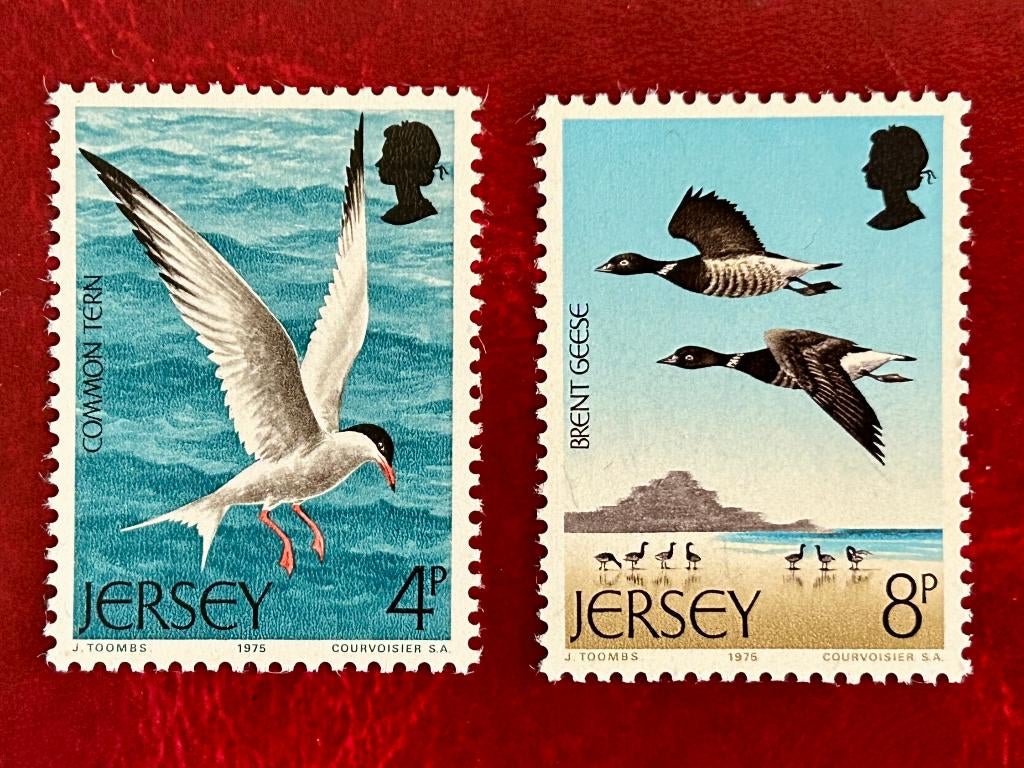 Vogels - Jersey - 1975, Verzenden, Postfris, Dier of Natuur