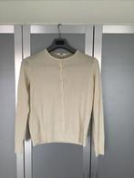 Merinowollen vest van uniqlo, Kleding | Dames, Wit, Maat 42/44 (L), Ophalen of Verzenden, Zo goed als nieuw