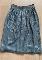 Dries van noten pailletten rok zijde 38 nieuwstaat, Kleding | Dames, Rokken, Maat 38/40 (M), Zo goed als nieuw, Knielengte, Grijs