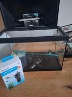 Aquarium met pomp en verwarming, Ophalen, Gebruikt, Verlichting of Verwarming