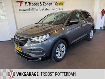 Opel Grandland X 1.2 Turbo Business Executive | Automaat | S beschikbaar voor biedingen